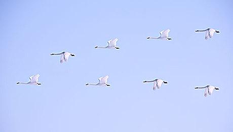 《无主之地3》销量破1800万套 三个月新增100万套